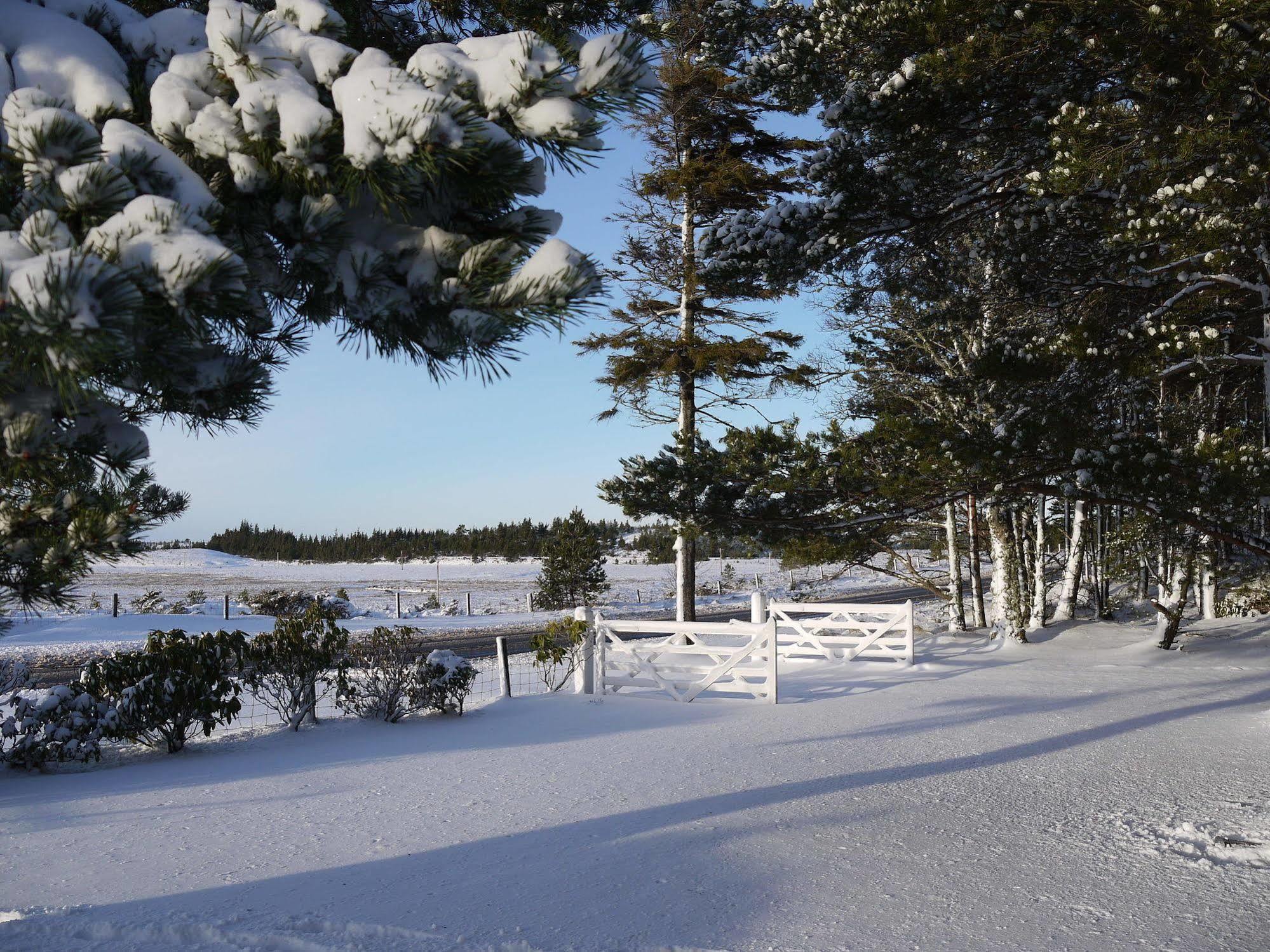 Bed and Breakfast Dava School House Grantown-on-Spey Экстерьер фото